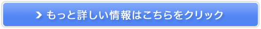 Ҋ֐ߏǉPvOR~No.1̔TCg